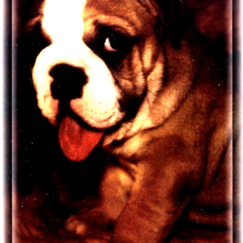 Limited Edition "I miss you!" Postcard